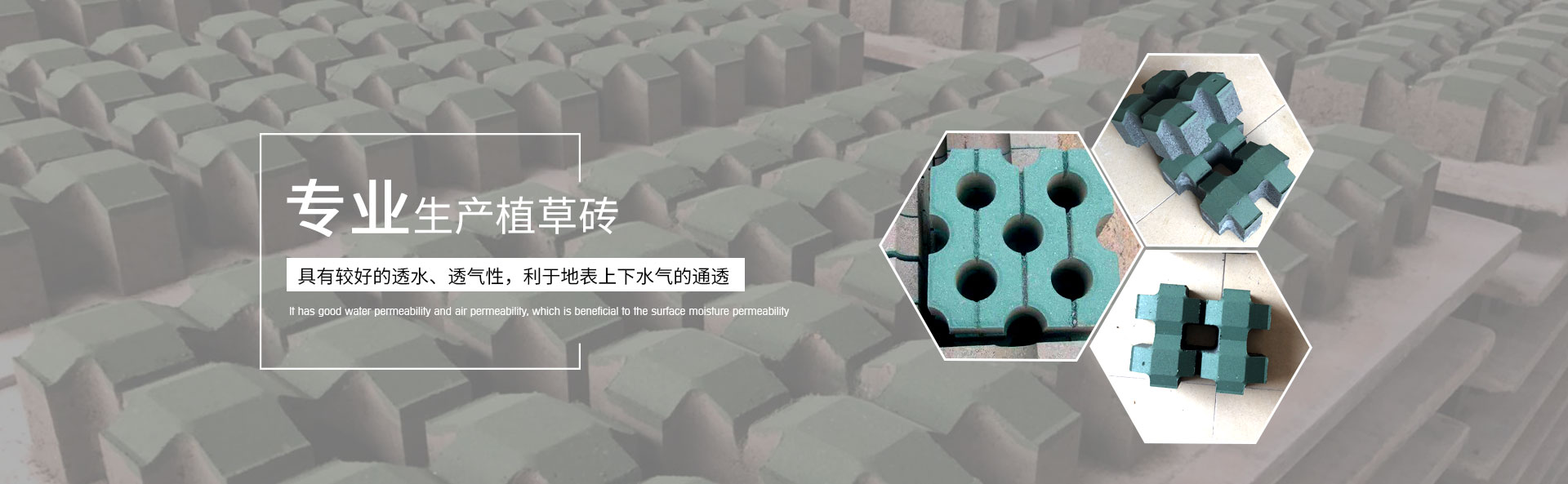 六角生態(tài)護(hù)坡磚,植草透水磚,建菱磚-湖南路特新型建材有限公司